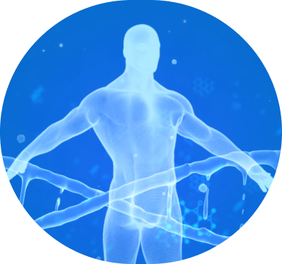 Disease Modelling Application