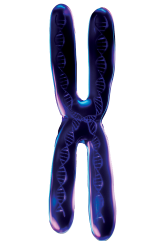 Single-cell DNA & RNA Co-sequencing