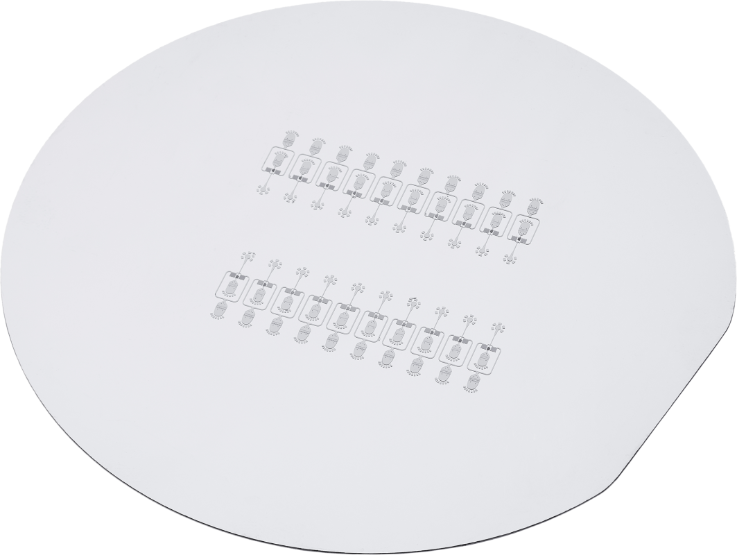 Custom Microfluidic Chip Design